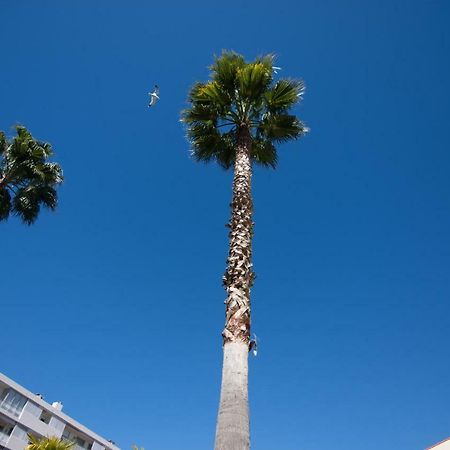 Apartmán Le Parc Pointe Croisette Cannes Exteriér fotografie